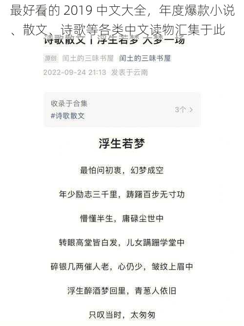 最好看的 2019 中文大全，年度爆款小说、散文、诗歌等各类中文读物汇集于此