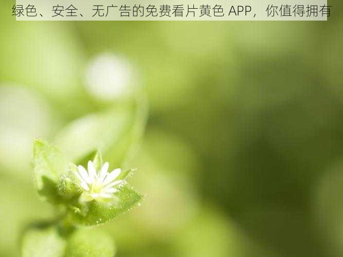 绿色、安全、无广告的免费看片黄色 APP,你值得拥有