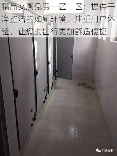 精品女厕免费一区二区：提供干净整洁的如厕环境，注重用户体验，让您的出行更加舒适便捷