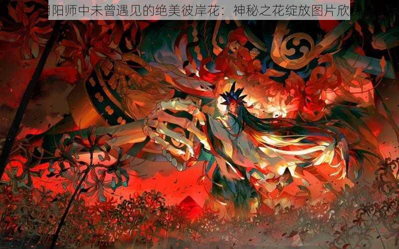 阴阳师中未曾遇见的绝美彼岸花:神秘之花绽放图片欣赏