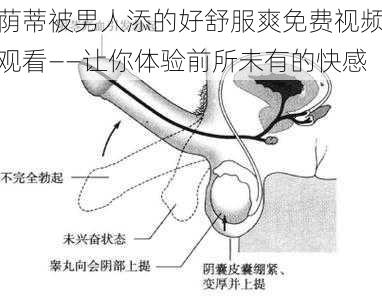 荫蒂被男人添的好舒服爽免费视频观看--让你体验前所未有的快感