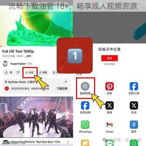 流畅下载油管 18 ,畅享成人视频资源