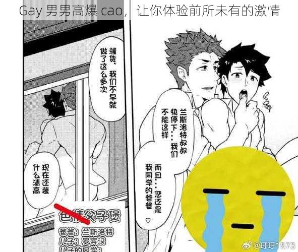 Gay 男男高爆 cao,让你体验前所未有的激情