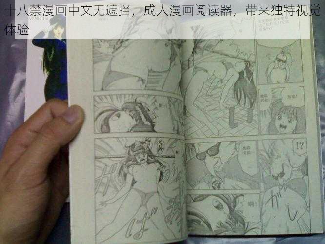 十八禁漫画中文无遮挡，成人漫画阅读器，带来独特视觉体验