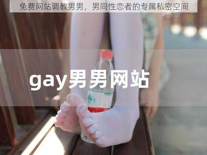 免费网站调教男男，男同性恋者的专属私密空间