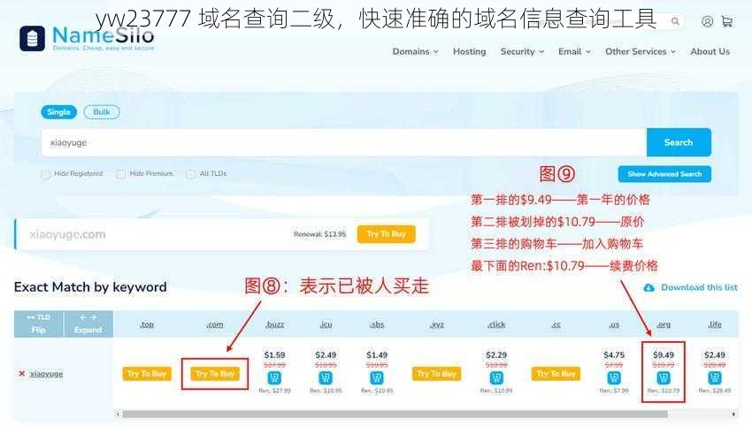 yw23777 域名查询二级，快速准确的域名信息查询工具