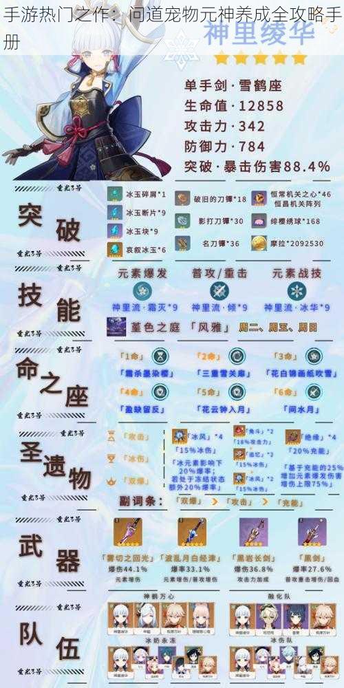 手游热门之作：问道宠物元神养成全攻略手册