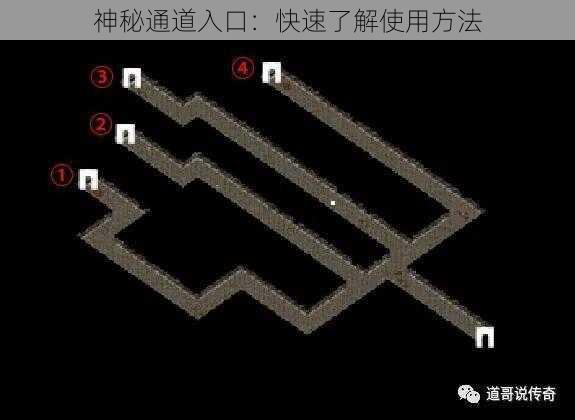 神秘通道入口：快速了解使用方法