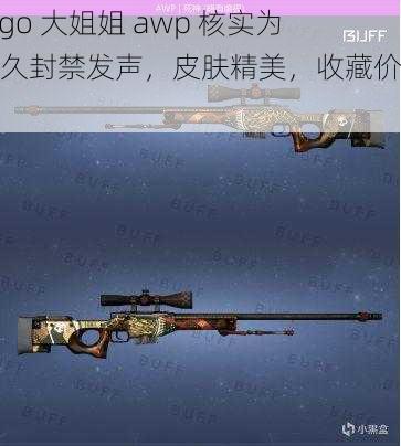 csgo 大姐姐 awp 核实为长久封禁发声，皮肤精美，收藏价值高