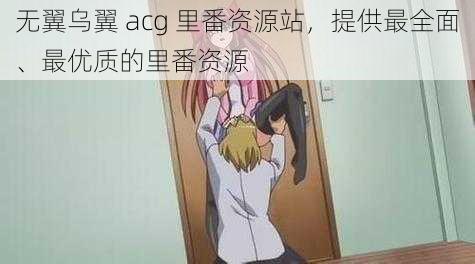 无翼乌翼 acg 里番资源站，提供最全面、最优质的里番资源