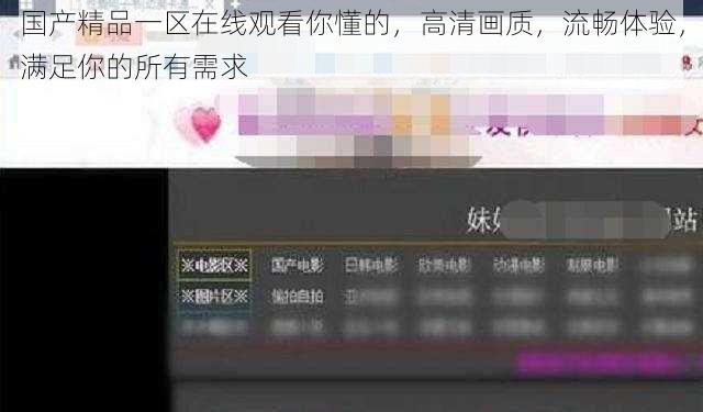 国产精品一区在线观看你懂的，高清画质，流畅体验，满足你的所有需求