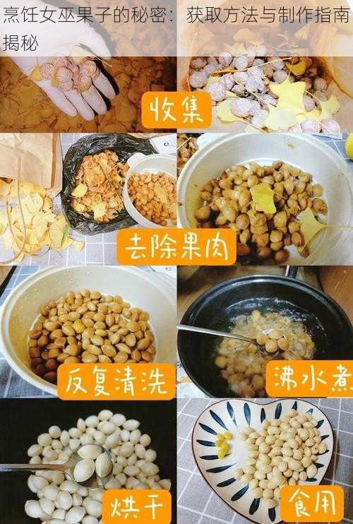 烹饪女巫果子的秘密：获取方法与制作指南揭秘