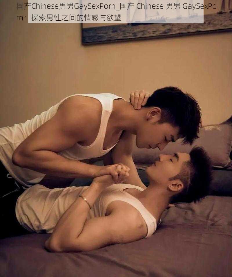 国产Chinese男男GaySexPorn_国产 Chinese 男男 GaySexPorn：探索男性之间的情感与欲望