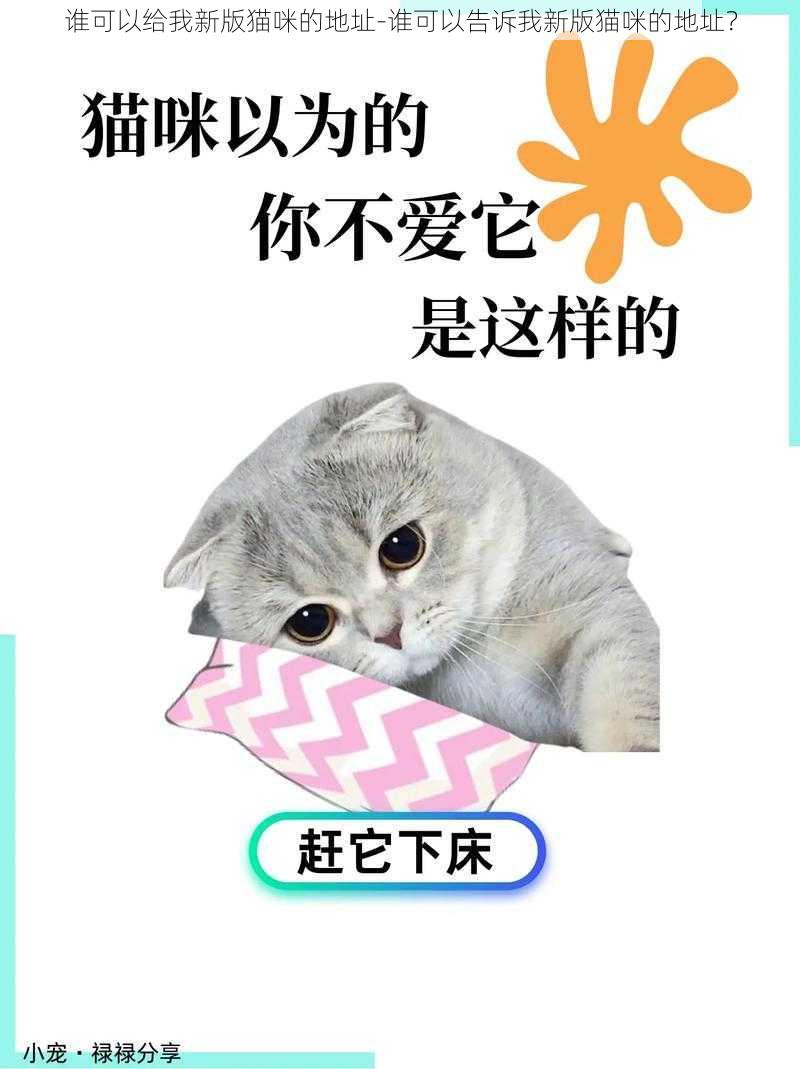 谁可以给我新版猫咪的地址-谁可以告诉我新版猫咪的地址？