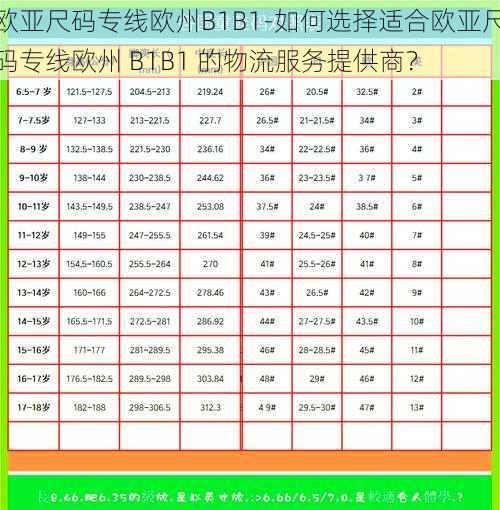 欧亚尺码专线欧州B1B1-如何选择适合欧亚尺码专线欧州 B1B1 的物流服务提供商？