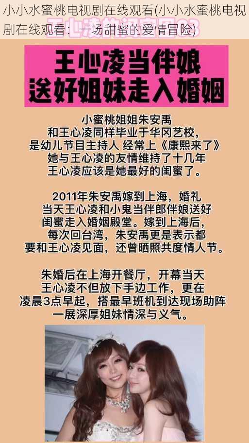 小小水蜜桃电视剧在线观看(小小水蜜桃电视剧在线观看：一场甜蜜的爱情冒险)