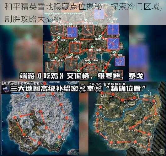 和平精英雪地隐藏点位揭秘：探索冷门区域，制胜攻略大揭秘