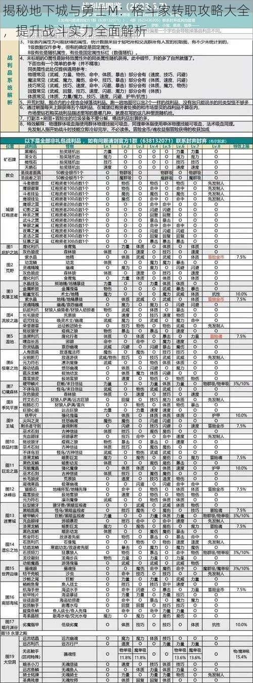 揭秘地下城与勇士M：格斗家转职攻略大全，提升战斗实力全面解析