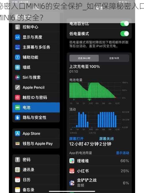 秘密入口MINI6的安全保护_如何保障秘密入口 MINI6 的安全？
