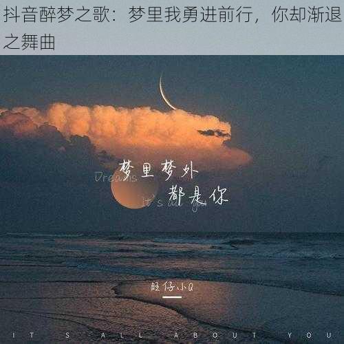 抖音醉梦之歌：梦里我勇进前行，你却渐退之舞曲