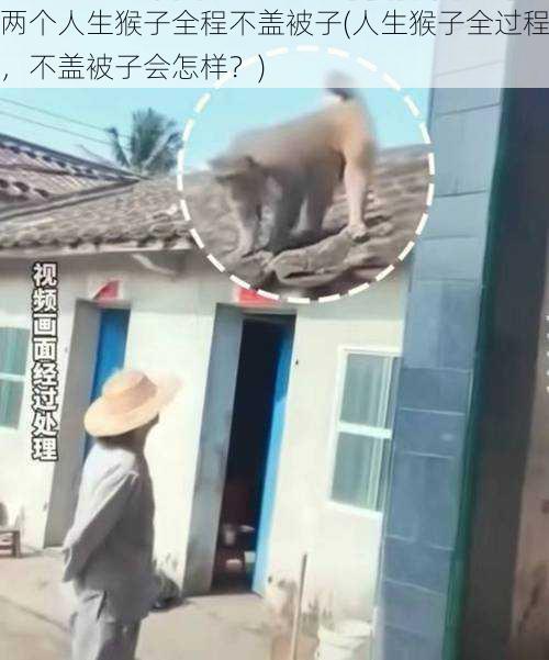 两个人生猴子全程不盖被子(人生猴子全过程，不盖被子会怎样？)