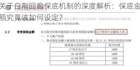 关于白荆回廊保底机制的深度解析：保底金额究竟该如何设定？