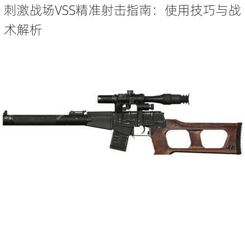 刺激战场VSS精准射击指南：使用技巧与战术解析