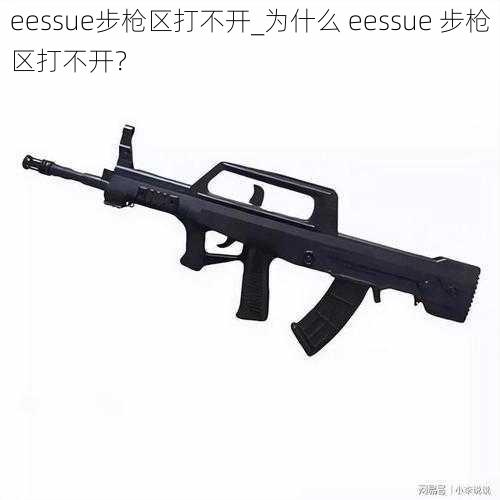 eessue步枪区打不开_为什么 eessue 步枪区打不开？