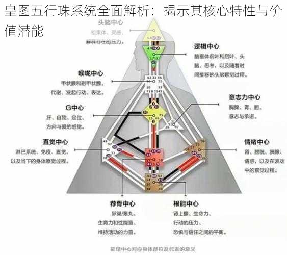 皇图五行珠系统全面解析：揭示其核心特性与价值潜能