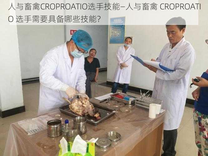 人与畜禽CROPROATIO选手技能—人与畜禽 CROPROATIO 选手需要具备哪些技能？