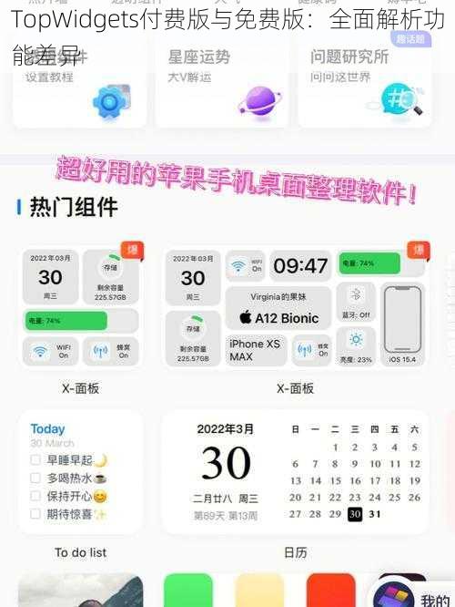 TopWidgets付费版与免费版：全面解析功能差异