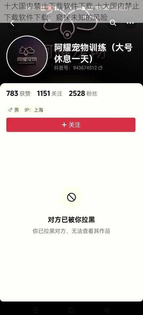 十大国内禁止下载软件下载,十大国内禁止下载软件下载：窥探未知的风险