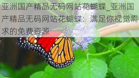 亚洲国产精品无码网站花蝴蝶_亚洲国产精品无码网站花蝴蝶：满足你视觉需求的免费资源