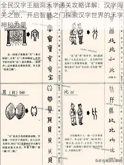 全民汉字王脑洞禾字通关攻略详解：汉字闯关之旅，开启智慧之门探索汉字世界的禾字神秘力量