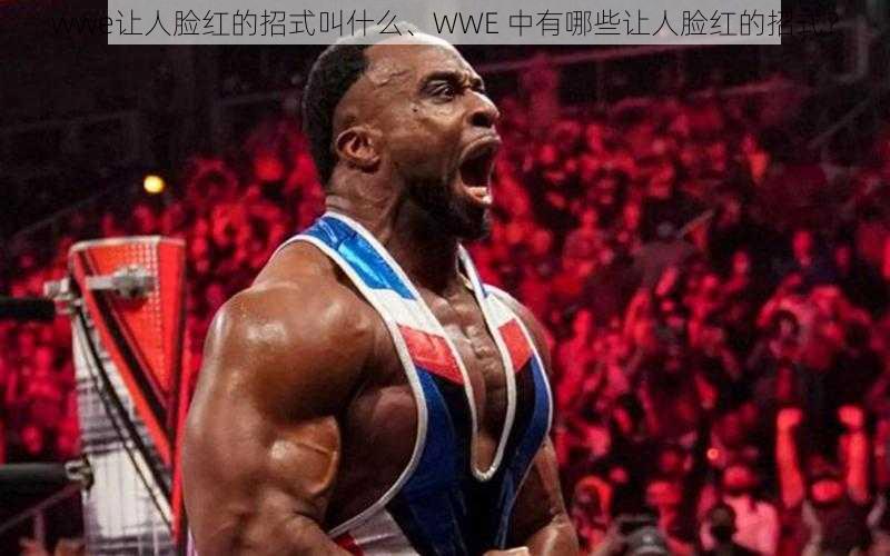 wwe让人脸红的招式叫什么、WWE 中有哪些让人脸红的招式？