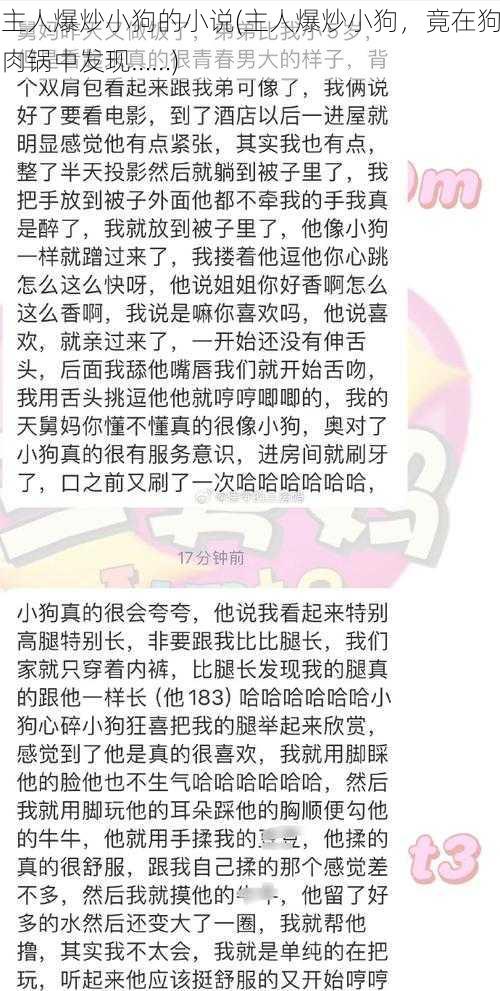 主人爆炒小狗的小说(主人爆炒小狗,竟在狗肉锅中发现......)