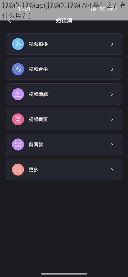 视频短视频api(视频短视频 API 是什么?有什么用?)