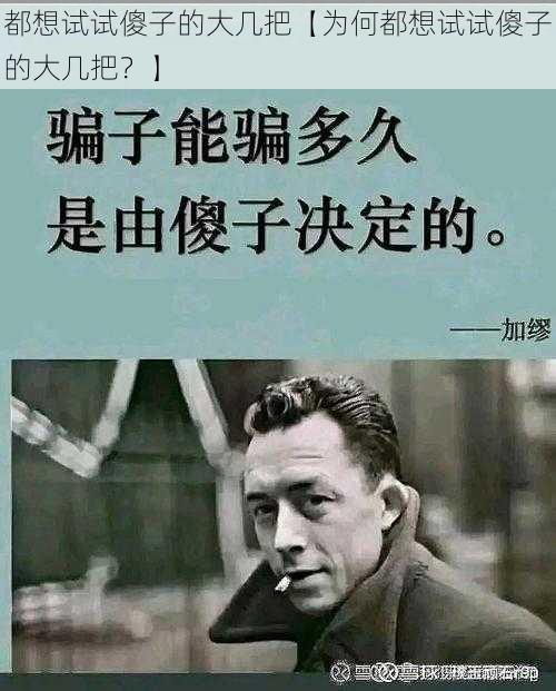 都想试试傻子的大几把【为何都想试试傻子的大几把？】