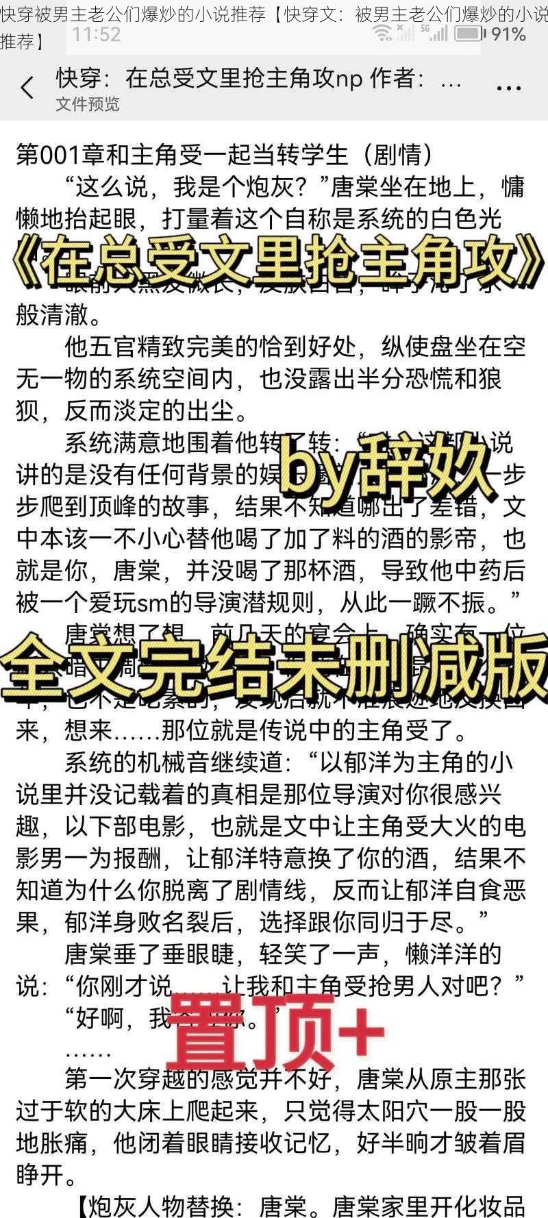 快穿被男主老公们爆炒的小说推荐【快穿文:被男主老公们爆炒的小说推荐】