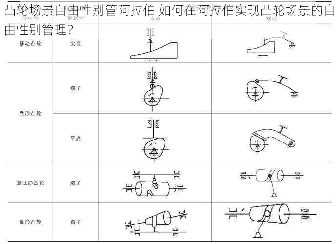 凸轮场景自由性别管阿拉伯 如何在阿拉伯实现凸轮场景的自由性别管理?