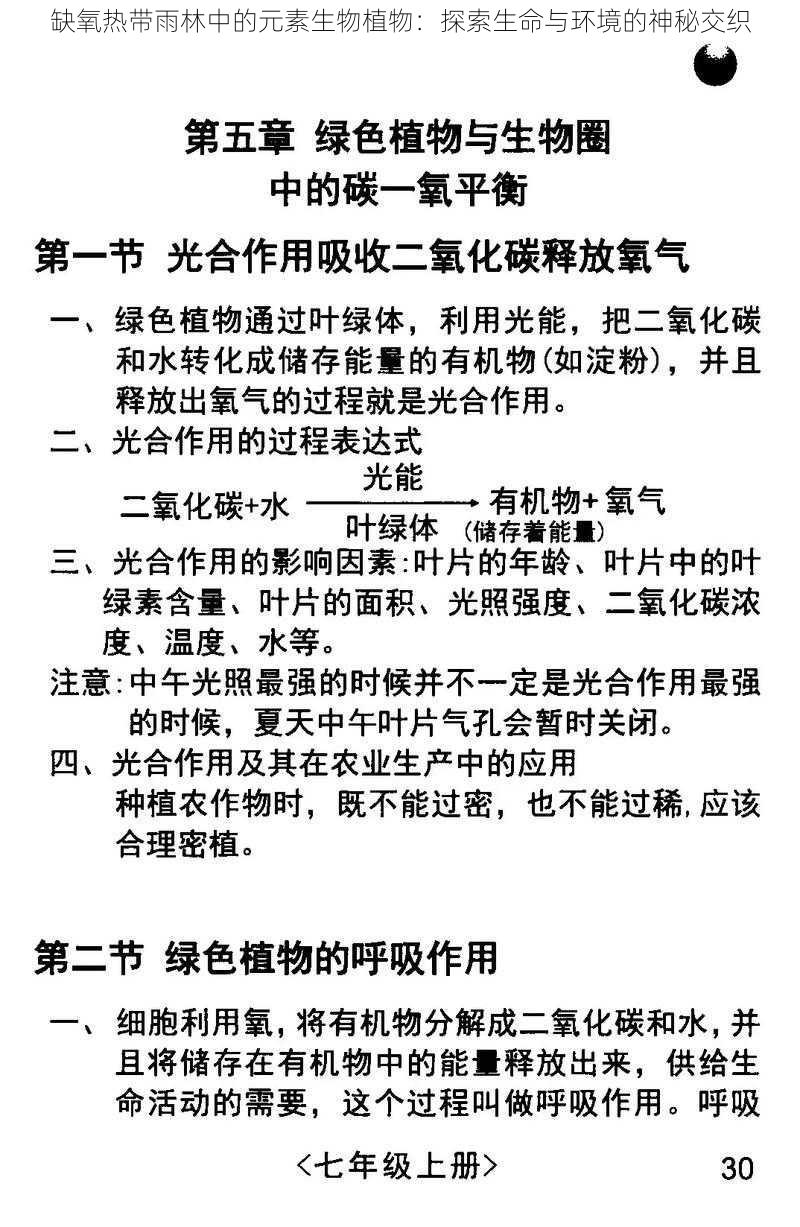 缺氧热带雨林中的元素生物植物：探索生命与环境的神秘交织