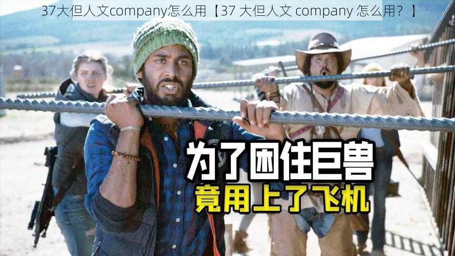 37大但人文company怎么用【37 大但人文 company 怎么用？】