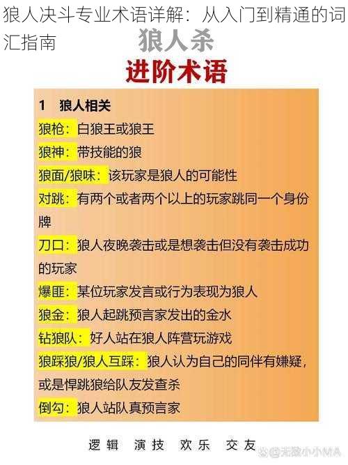 狼人决斗专业术语详解：从入门到精通的词汇指南