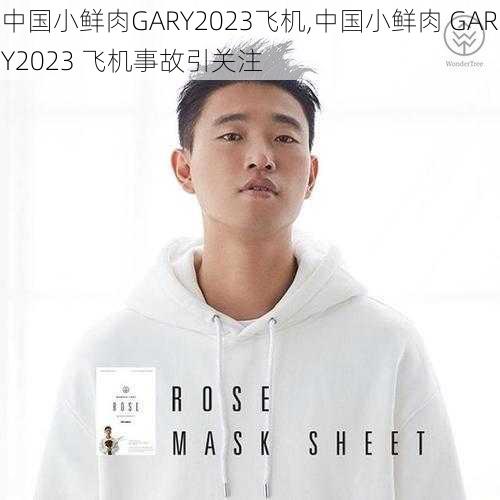 中国小鲜肉GARY2023飞机,中国小鲜肉 GARY2023 飞机事故引关注