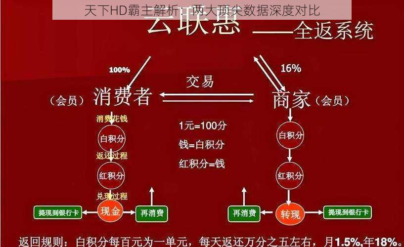 天下HD霸主解析：两大顶尖数据深度对比