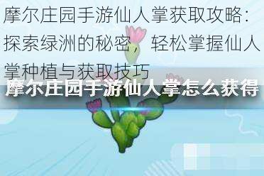 摩尔庄园手游仙人掌获取攻略：探索绿洲的秘密，轻松掌握仙人掌种植与获取技巧