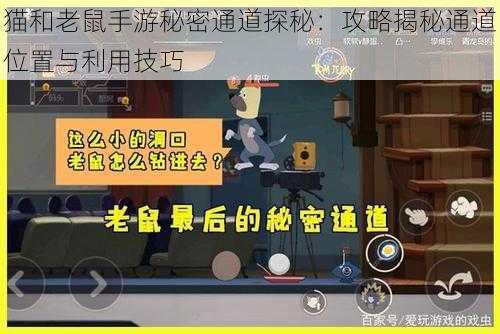 猫和老鼠手游秘密通道探秘：攻略揭秘通道位置与利用技巧