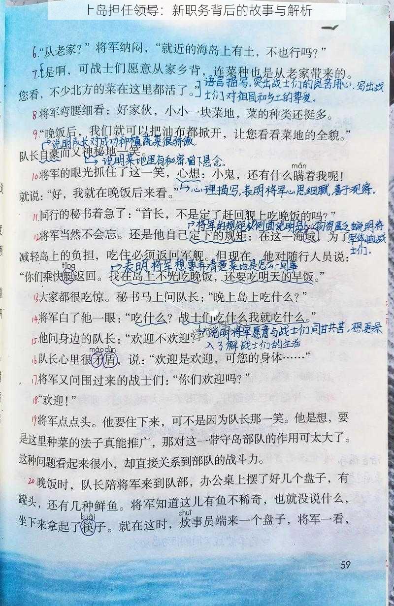 上岛担任领导：新职务背后的故事与解析