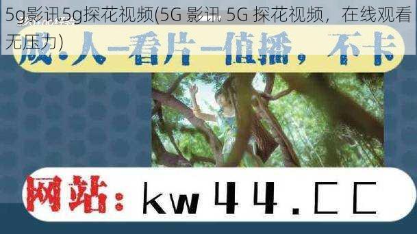 5g影讯5g探花视频(5G 影讯 5G 探花视频，在线观看无压力)