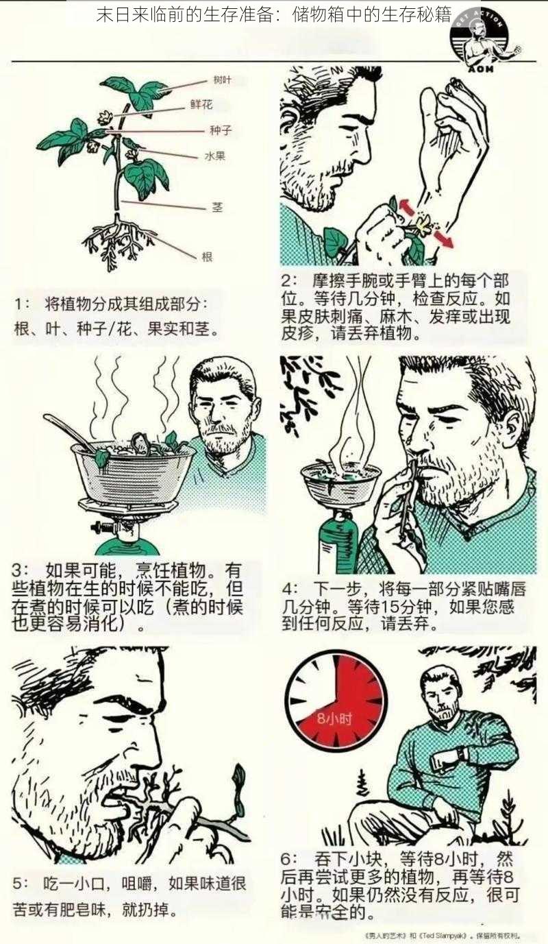 末日来临前的生存准备：储物箱中的生存秘籍